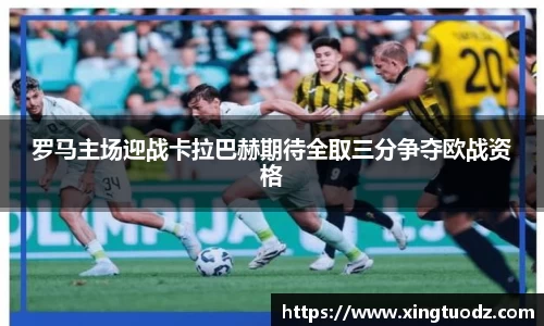 VSport胜利因您更精彩